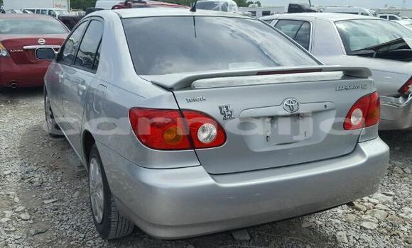 Buy Import Toyota Corolla Silver Car in Daura in Katsina Buy Import Toyota Corolla Silver Car in Daura in Katsina