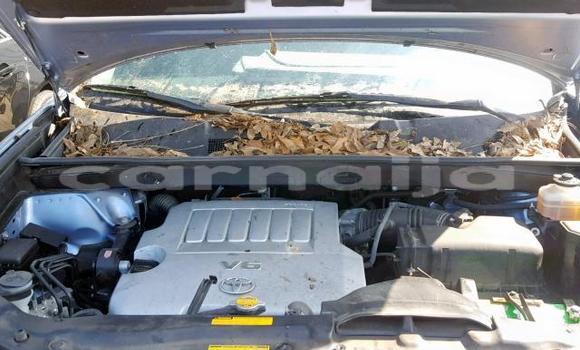 Buy Import Toyota Highlander Other Car in Daura in Katsina Buy Import Toyota Highlander Other Car in Daura in Katsina