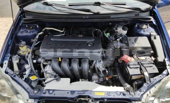 Buy Used Toyota Corolla Blue Car in Port Harcourt in Rivers State