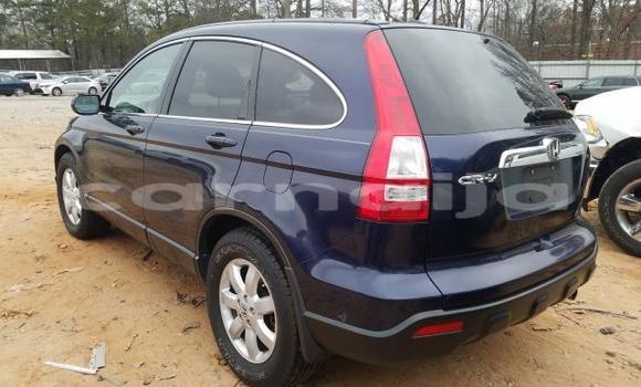 Acheter Occasion Voiture Honda CR–V Beige à Lagos, État de Lagos Acheter Occasion Voiture Honda CR–V Beige à Lagos, État de Lagos