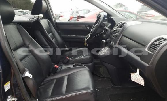 Acheter Occasion Voiture Honda CR–V Beige à Lagos, État de Lagos Acheter Occasion Voiture Honda CR–V Beige à Lagos, État de Lagos