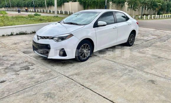 Buy Used Toyota Corolla White Car in Abuja in Lagos State