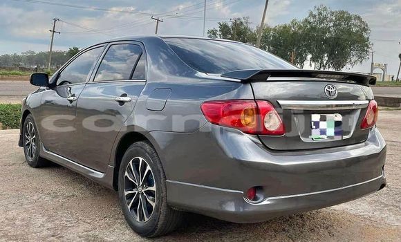 Buy Used Toyota Corolla Other Car in Abuja in Lagos State Buy Used Toyota Corolla Other Car in Abuja in Lagos State