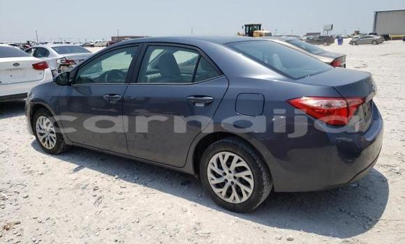 Acheter Neuf Voiture Toyota Corolla Autre à Badagry, État de Lagos Acheter Neuf Voiture Toyota Corolla Autre à Badagry, État de Lagos