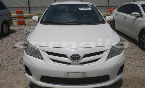 Buy New Toyota Corolla White Car in Badagry in Lagos State