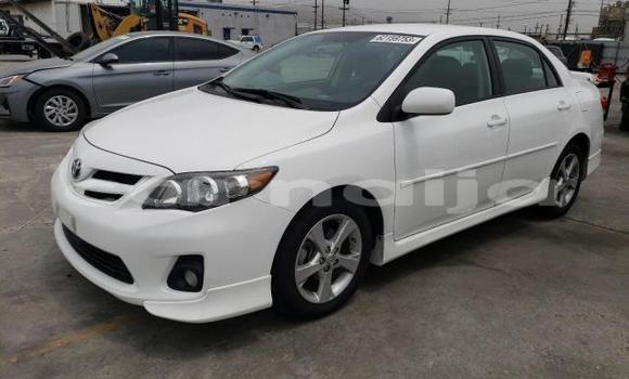 Buy New Toyota Corolla White Car in Badagry in Lagos State Buy New Toyota Corolla White Car in Badagry in Lagos State