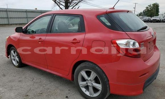 Acheter Neuf Voiture Toyota Matrix Rouge à Badagry, État de Lagos Acheter Neuf Voiture Toyota Matrix Rouge à Badagry, État de Lagos