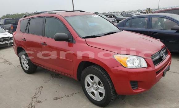 Buy New Toyota RAV4 Red Car in Badagry in Lagos State Buy New Toyota RAV4 Red Car in Badagry in Lagos State