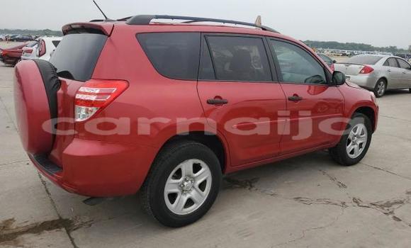 Buy New Toyota RAV4 Red Car in Badagry in Lagos State Buy New Toyota RAV4 Red Car in Badagry in Lagos State