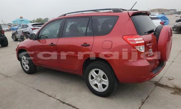 Buy New Toyota RAV4 Red Car in Badagry in Lagos State Buy New Toyota RAV4 Red Car in Badagry in Lagos State