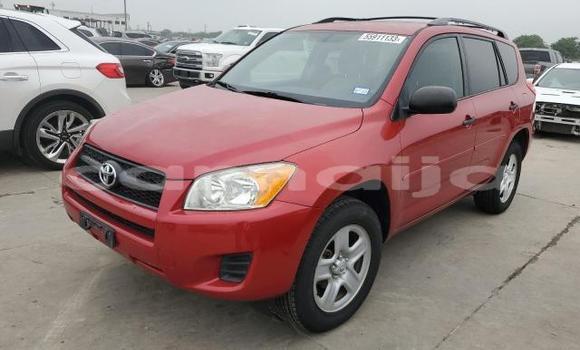 Buy New Toyota RAV4 Red Car in Badagry in Lagos State Buy New Toyota RAV4 Red Car in Badagry in Lagos State
