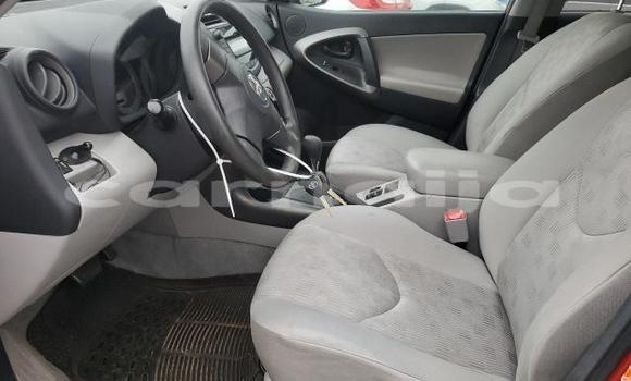 Buy New Toyota RAV4 Red Car in Badagry in Lagos State Buy New Toyota RAV4 Red Car in Badagry in Lagos State