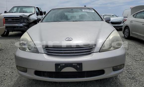 Acheter Neuf Voiture Lexus ES 300 Gris à Badagry, État de Lagos