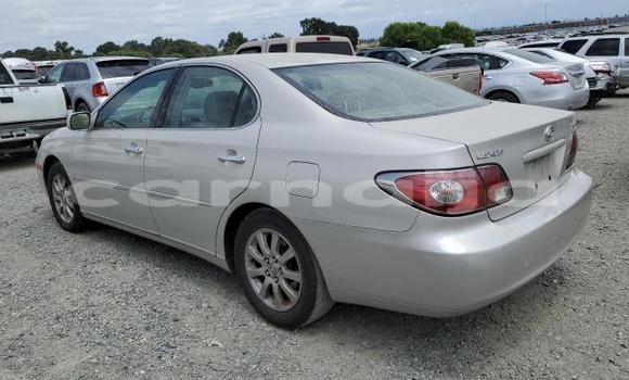 Acheter Neuf Voiture Lexus ES 300 Gris à Badagry, État de Lagos Acheter Neuf Voiture Lexus ES 300 Gris à Badagry, État de Lagos