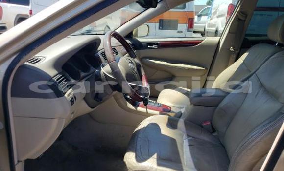 Acheter Neuf Voiture Lexus ES 300 Gris à Badagry, État de Lagos Acheter Neuf Voiture Lexus ES 300 Gris à Badagry, État de Lagos