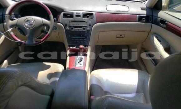 Acheter Neuf Voiture Lexus ES 300 Gris à Badagry, État de Lagos Acheter Neuf Voiture Lexus ES 300 Gris à Badagry, État de Lagos