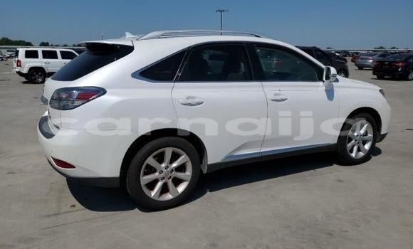 Buy New Lexus RX 350 White Car in Badagry in Lagos State Buy New Lexus RX 350 White Car in Badagry in Lagos State