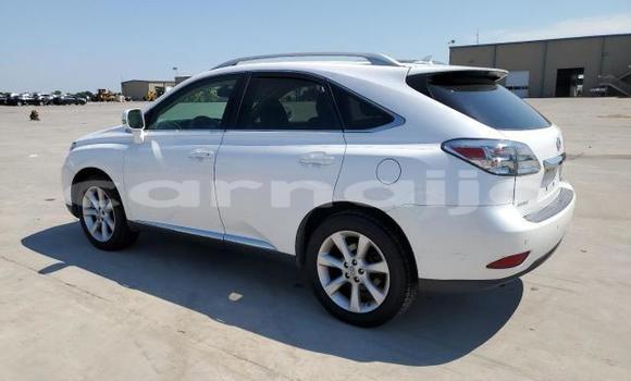Buy New Lexus RX 350 White Car in Badagry in Lagos State Buy New Lexus RX 350 White Car in Badagry in Lagos State