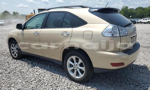 Acheter Neuf Voiture Lexus RX 350 Beige à Badagry, État de Lagos Acheter Neuf Voiture Lexus RX 350 Beige à Badagry, État de Lagos