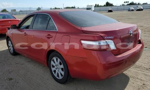 Acheter Neuf Voiture Toyota Camry Rouge à Badagry, État de Lagos Acheter Neuf Voiture Toyota Camry Rouge à Badagry, État de Lagos