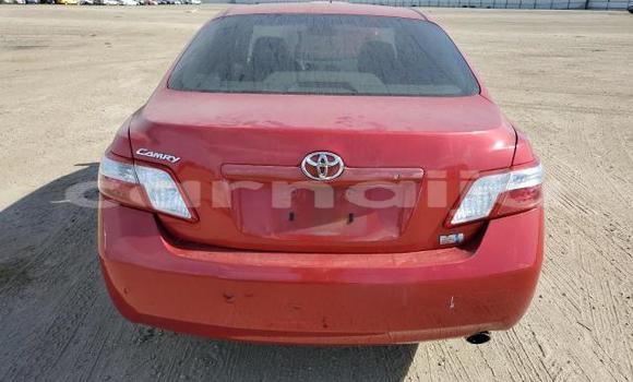 Acheter Neuf Voiture Toyota Camry Rouge à Badagry, État de Lagos Acheter Neuf Voiture Toyota Camry Rouge à Badagry, État de Lagos