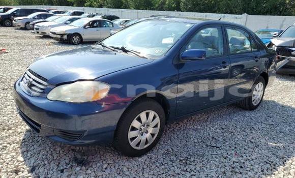 Acheter Neuf Voiture Toyota Corolla Bleu à Badagry, État de Lagos Acheter Neuf Voiture Toyota Corolla Bleu à Badagry, État de Lagos