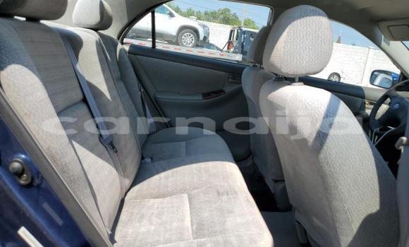 Acheter Neuf Voiture Toyota Corolla Bleu à Badagry, État de Lagos Acheter Neuf Voiture Toyota Corolla Bleu à Badagry, État de Lagos