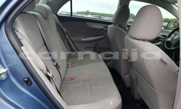 Buy New Toyota Corolla Blue Car in Badagry in Lagos State Buy New Toyota Corolla Blue Car in Badagry in Lagos State
