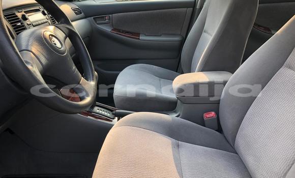 Acheter Occasion Voiture Toyota Corolla Vert à Rabah, État de Sokoto Acheter Occasion Voiture Toyota Corolla Vert à Rabah, État de Sokoto