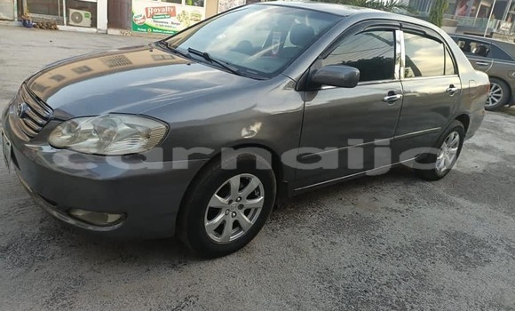 Buy Used Toyota Corolla Other Car in Lagos in Lagos State