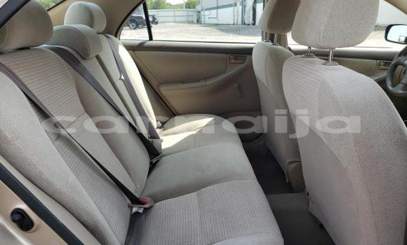 Acheter Neuf Voiture Toyota Corolla Beige à Badagry, État de Lagos Acheter Neuf Voiture Toyota Corolla Beige à Badagry, État de Lagos