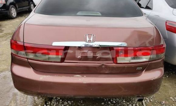 Buy Used Honda Accord Other Car in Daura in Katsina Buy Used Honda Accord Other Car in Daura in Katsina