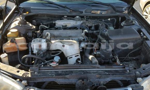 Buy Used Toyota Camry Other Car in Daura in Katsina Buy Used Toyota Camry Other Car in Daura in Katsina