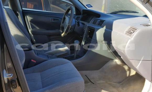 Buy Used Toyota Camry Other Car in Daura in Katsina Buy Used Toyota Camry Other Car in Daura in Katsina
