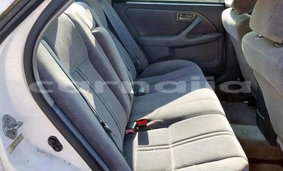 Buy Used Toyota Camry White Car in Daura in Katsina Buy Used Toyota Camry White Car in Daura in Katsina