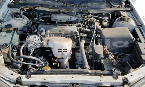 Buy Used Toyota Camry White Car in Daura in Katsina Buy Used Toyota Camry White Car in Daura in Katsina