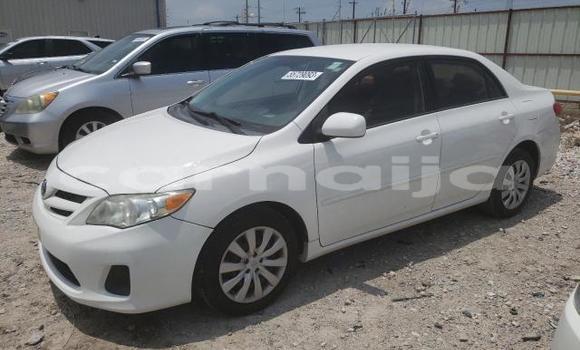 Buy New Toyota Corolla White Car in Badagry in Lagos State Buy New Toyota Corolla White Car in Badagry in Lagos State