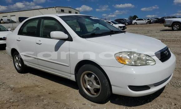 Buy New Toyota Corolla White Car in Badagry in Lagos State Buy New Toyota Corolla White Car in Badagry in Lagos State