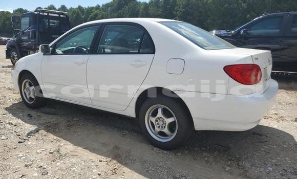 Buy New Toyota Corolla White Car in Badagry in Lagos State Buy New Toyota Corolla White Car in Badagry in Lagos State