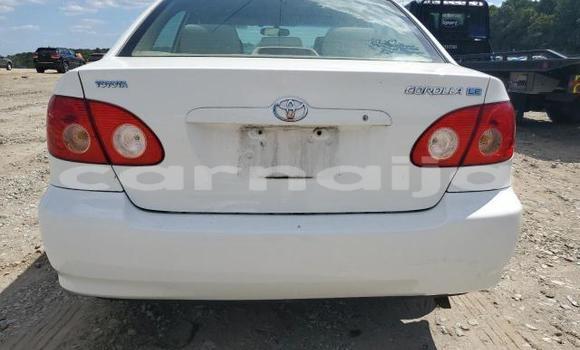Buy New Toyota Corolla White Car in Badagry in Lagos State Buy New Toyota Corolla White Car in Badagry in Lagos State
