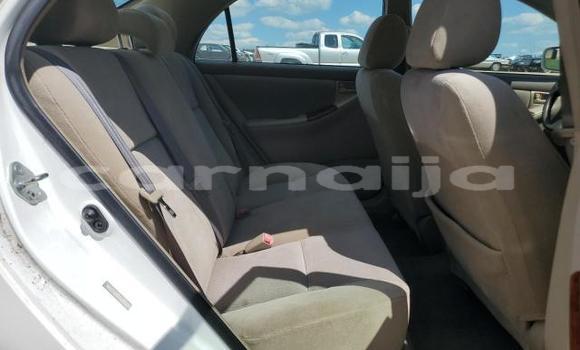 Buy New Toyota Corolla White Car in Badagry in Lagos State Buy New Toyota Corolla White Car in Badagry in Lagos State