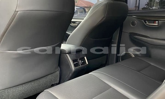 Buy Used Lexus NX Other Car in Abuja in Lagos State Buy Used Lexus NX Other Car in Abuja in Lagos State
