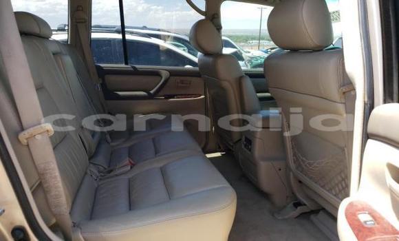 Acheter Neuf Voiture Toyota Land Cruiser Beige à Badagry, État de Lagos Acheter Neuf Voiture Toyota Land Cruiser Beige à Badagry, État de Lagos