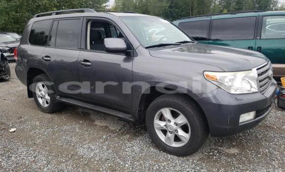 Buy New Toyota Land Cruiser Other Car in Badagry in Lagos State Buy New Toyota Land Cruiser Other Car in Badagry in Lagos State