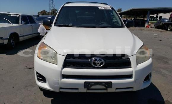 Buy New Toyota RAV4 White Car in Badagry in Lagos State Buy New Toyota RAV4 White Car in Badagry in Lagos State