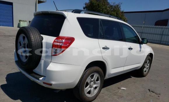 Acheter Neuf Voiture Toyota RAV4 Blanc à Badagry, État de Lagos Acheter Neuf Voiture Toyota RAV4 Blanc à Badagry, État de Lagos