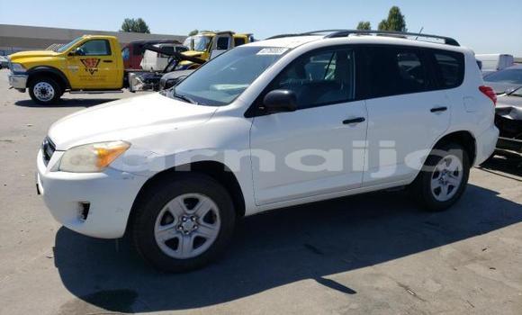 Acheter Neuf Voiture Toyota RAV4 Blanc à Badagry, État de Lagos Acheter Neuf Voiture Toyota RAV4 Blanc à Badagry, État de Lagos