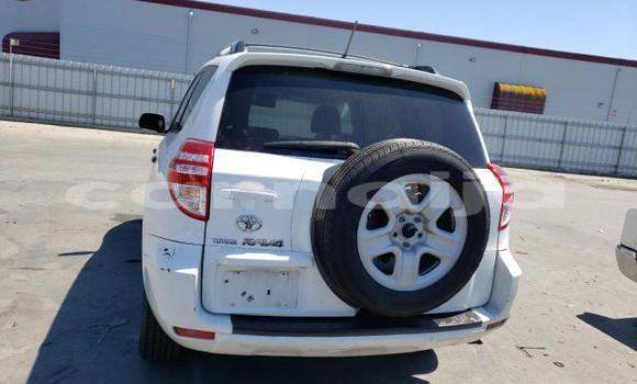 Acheter Neuf Voiture Toyota RAV4 Blanc à Badagry, État de Lagos Acheter Neuf Voiture Toyota RAV4 Blanc à Badagry, État de Lagos