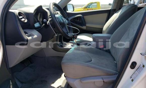 Acheter Neuf Voiture Toyota RAV4 Blanc à Badagry, État de Lagos Acheter Neuf Voiture Toyota RAV4 Blanc à Badagry, État de Lagos