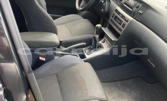 Acheter Occasion Voiture Toyota Corolla Rouge à Agbani, État d'Enugu Acheter Occasion Voiture Toyota Corolla Rouge à Agbani, État d'Enugu